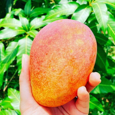 沖縄県伊平屋村の画像2