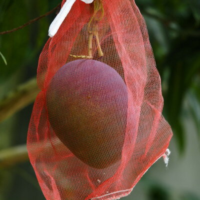 沖縄県伊平屋村の画像3