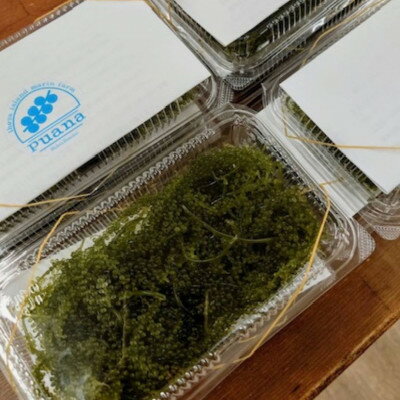 沖縄県伊平屋村の画像3