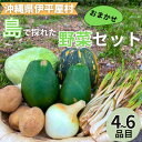 【ふるさと納税】島で採れた新鮮野菜詰め合わせセット(4〜6品目)【配送不可地域:離島】【1606515】