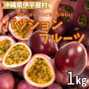 【ふるさと納税】トロピカルな味わいのパッションフルーツ 1kg【配送不可地域:離島】【1618370】