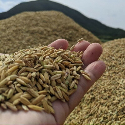 沖縄県伊平屋村の画像2