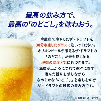 【ふるさと納税】【毎月定期便】オリオンビール ザ・ドラフト(350ml×24缶)全12回【4065348】