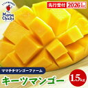 【ふるさと納税】【先行受付】【2026年発送】ママチチマンゴーファームのキーツマンゴー約1.5kg - 先行予約 沖縄 産地直送 南国フルーツ 旬の味覚 沖縄県...