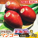 【ふるさと納税】【化粧箱入】【先行受付・2026年発送】伊集農園 沖縄県産マンゴー(贈答用)約1kg - 先行予約 沖縄 産地直送 南国フルーツ 旬の味覚 旬の...