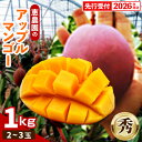 【ふるさと納税】 【先行受付】 【2026年発送】恵農園のアップルマンゴー『秀』約1kg(2〜3玉)- 先行予約 沖縄県産 産地直送 南国フルーツ 旬の味覚 季...