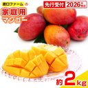 【ふるさと納税】【先行受付】【2026年発送】渡口ファームの家庭用マンゴー約2kg - 先行予約 沖縄県産 産地直送 南国フルーツ 旬の味覚 季節の果物 ご自宅用 沖縄マンゴー 沖縄県 八重瀬町