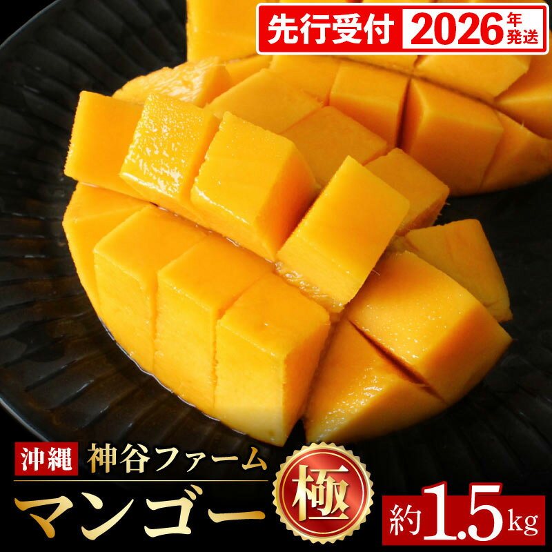 【ふるさと納税】【化粧箱入】【先行受付・2026年発送】神谷ファームのマンゴー（極）約1.5Kg - 先行予..