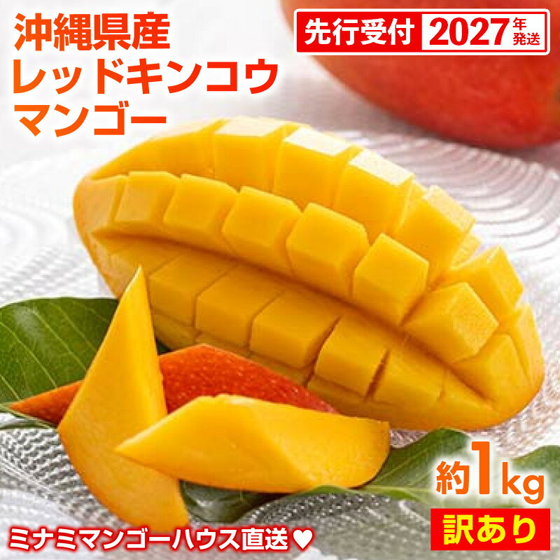 ミナミマンゴーハウスの訳あり 赤金煌 レッドキンコウ