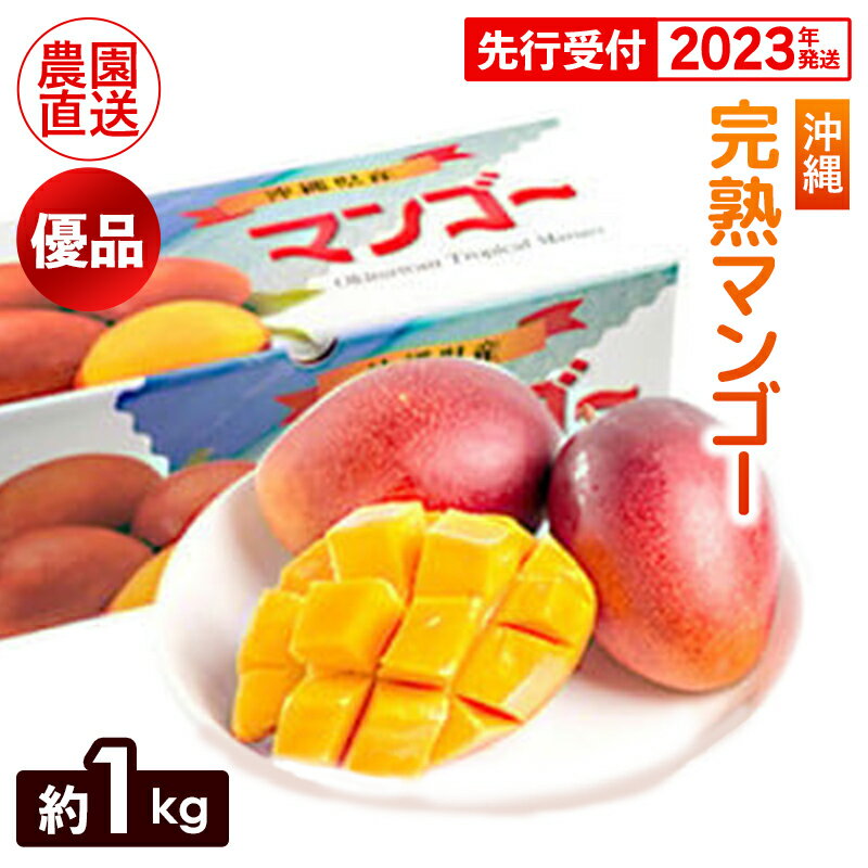 【ふるさと納税】【2023年発送】ヤマト農園　完熟マンゴー約1kg（優品）