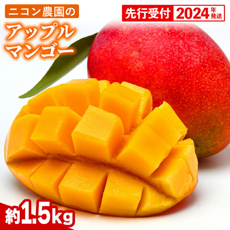 [先行受付][2024年発送]ニコン農園のアップルマンゴー約1.5kg[減農薬]