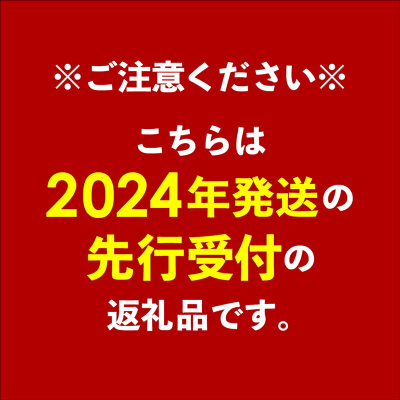 【ふるさと納税】【先行受付】【2024年発送】ミナミマンゴーハウスの完熟アップルマンゴー 【秀】約4kg（8～12玉）