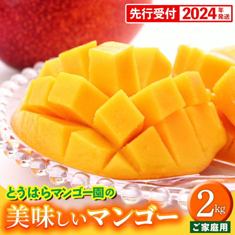 【ふるさと納税】【先行受付】【2024年発送】とうはらマンゴー園の美味しいマンゴー家庭用　約2kg