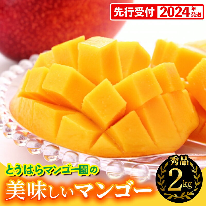 【ふるさと納税】【先行受付】【2024年発送】とうはらマンゴー園の美味しいマンゴー秀品　約2kg