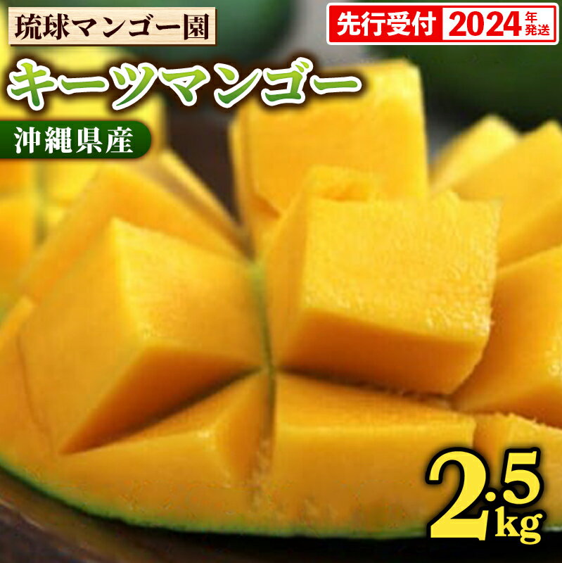 【ふるさと納税】【先行受付】【2024年発送】琉球マンゴー園の幻のマンゴー！キーツマンゴー約2.5kg