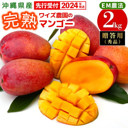 【先行受付】【2024年発送】ワイズ農園の完熟マンゴー秀約2kg/美味しさ、驚き、夢のマンゴー