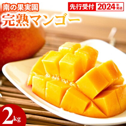 【先行受付】【2024年発送】南の果実園 完熟マンゴー 2kg（4～6玉）