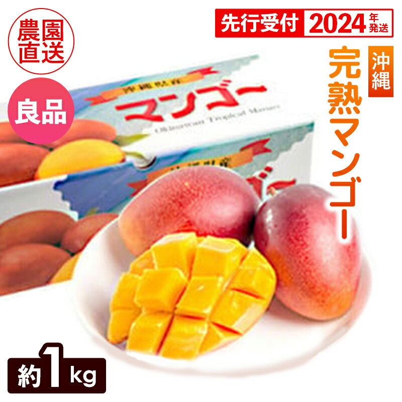 [先行受付][2024年発送]ヤマト農園 完熟マンゴー約1kg(良品)