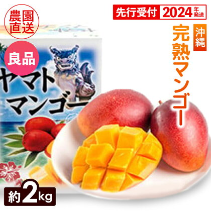 【先行受付】【2024年発送】ヤマト農園　完熟マンゴー約2kg（良品）