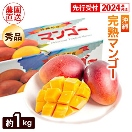 【先行受付】【2024年発送】ヤマト農園　完熟マンゴー約1kg（秀品）