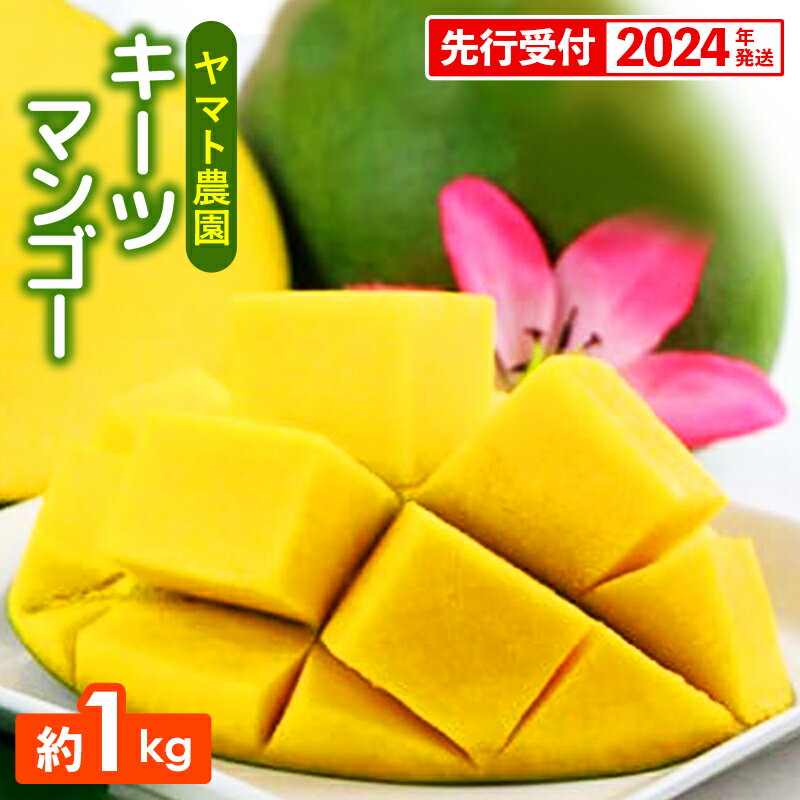 [先行受付][2024年発送]ヤマト農園 キーツマンゴー約1kg