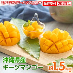 【ふるさと納税】【2024年発送】ミナミマンゴーハウスのキーツマンゴー約1.5kg