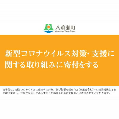 【ふるさと納税】新型コロナウイルス対策・支援に関する取り組みに寄付をする（3万円）