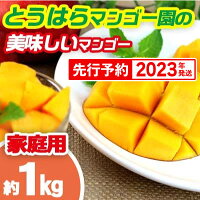 【2022年発送】南国フーズの完熟アップルマンゴー 約2Kg