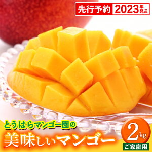 【ふるさと納税】【2023年発送】とうはらマンゴー園の美味しいマンゴー家庭用　約2kg