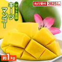 【ふるさと納税】【先行受付】【2025年発送】ヤマト農園 キーツマンゴー約1kg - 産地直送 沖縄産 国産 果物 フルーツ 南国フルーツ 旬の味覚 追熟 先行...