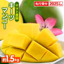 【ふるさと納税】【先行受付】【2025年発送】ヤマト農園 キーツマンゴー約1.5kg - 産地直送 沖縄産 国産 果物 フルーツ 南国フルーツ 旬の味覚 追熟 先行予約 希少種 人気 おすすめ 送料無料 沖縄県 八重瀬町