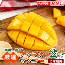 【ふるさと納税】【先行受付】【2026年発送】生産組合が育てるアップルマンゴー約2kg(家庭用)- 先行予約 沖縄県産 産地直送 南国フルーツ 旬の味覚 季節の果物 ご自宅用 沖縄マンゴー 沖縄県 八重瀬町
