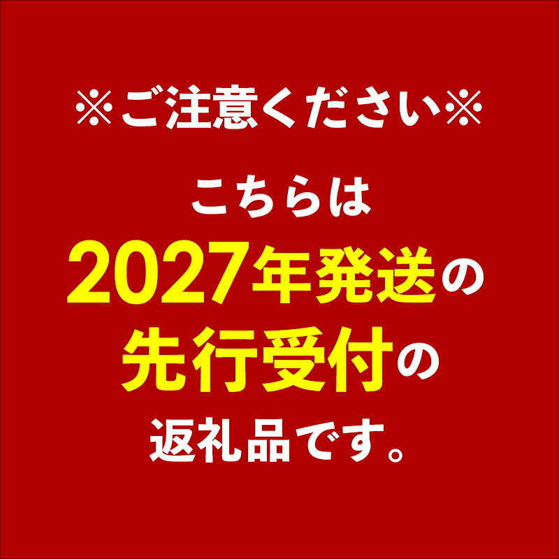 【ふるさと納税】【先行受付】【2027年発送】南の果実園 キーツマンゴー 1.5kg（2玉） - 先行予約 沖縄 産地直送 南国フルーツ 旬の味覚 沖縄県産 国産マンゴー 希少種 季節の果物 沖縄県 八重瀬町 f473626-yaese-10000686 沖縄県八重瀬町 サンプル画像2