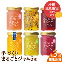 【ふるさと納税】【2ヶ月に1度の定期便:全3回】しらかわファームのジャム6種 - 手づくり 6個 詰め合わせ セット 定期便 隔月 3回お届け 南国フルーツ 自家農園栽培 八重瀬産 南国 手作り 果実100% おすすめ 沖縄県 八重瀬町