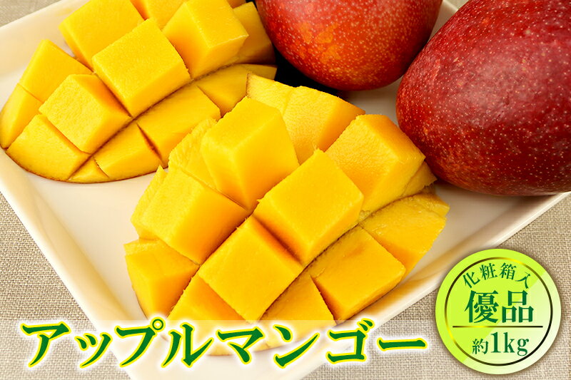 【ふるさと納税】【2019年発送】沖縄県産　南部共選マンゴー　約1kg【優品】が大人気返礼品になっている理由とは　ふるさと納税　人気　返礼品　ランキング