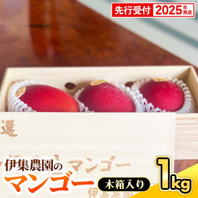 【ふるさと納税】【木箱入】【先行受付・2025年発送】伊集農園 沖縄県産マンゴー(贈答用木箱)約1kg