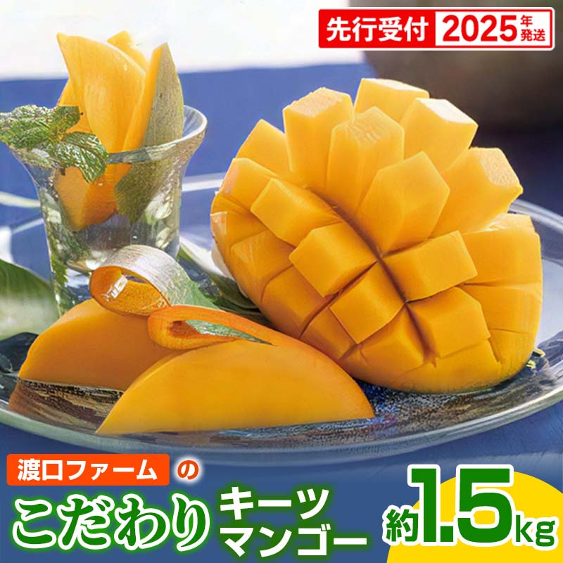 【ふるさと納税】【先行受付】【2025年発送】渡口ファームのこだわりキーツマンゴー約1.5kg - 先行予約 沖縄県産 産地直送 南国フルーツ 旬の味覚 季節の果物 希少種 贈り物 ギフト 沖縄県 八重瀬町