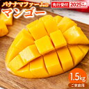 【ふるさと納税】【先行受付】【2025年発送】バナナマファーム家庭用マンゴー約1.5kg(3~5玉) - 先行予約 沖縄県産 産地直送 南国フルーツ 旬の味覚 季節の果物 ご自宅用 アップルマンゴー 沖縄県 八重瀬町