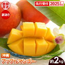 【ふるさと納税】【先行受付】【2025年発送】ヤマト農園 アップルマンゴー訳あり約2kg(4〜6玉)- 先行予約 沖縄県産 産地直送 南国フルーツ 旬の味覚 季...