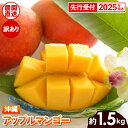 【ふるさと納税】【先行受付】【2025年発送】ヤマト農園 アップルマンゴー訳あり約1.5kg(3〜6玉)- 先行予約 沖縄県産 産地直送 南国フルーツ 旬の味覚...