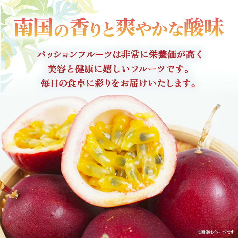 【ふるさと納税】【2026年発送】宇地原農園の パッションフルーツ 約1kg（9個～）...