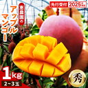 【ふるさと納税】 【先行受付】 【2025年発送】恵農園のアップルマンゴー『秀』約1kg(2〜3玉)