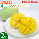 【ふるさと納税】【先行受付】【2025年発送】南の果実園 キーツマンゴー 2kg(2〜4玉)