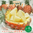 【ふるさと納税】アララガマ農園発祥のピーチパイン。香り高く女性人気NO.1!国内流通量1%未満、幻の完熟ピーチパイン ピーチパイン2~4kg(2~10玉)【果物詰合せ フルーツ】 お届け:2026年4月~7月