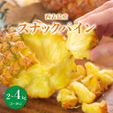 【ふるさと納税】【内容量が選べる】知名度NO.1!糖度が高く真っ黄色な新感覚パイン☆ ちぎって食べるスナックパイン2~4kg(2~10玉)お届け:2026年5月~6月