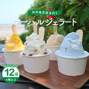 【ふるさと納税】由布島茶屋手作り マーハルジェラート 12個