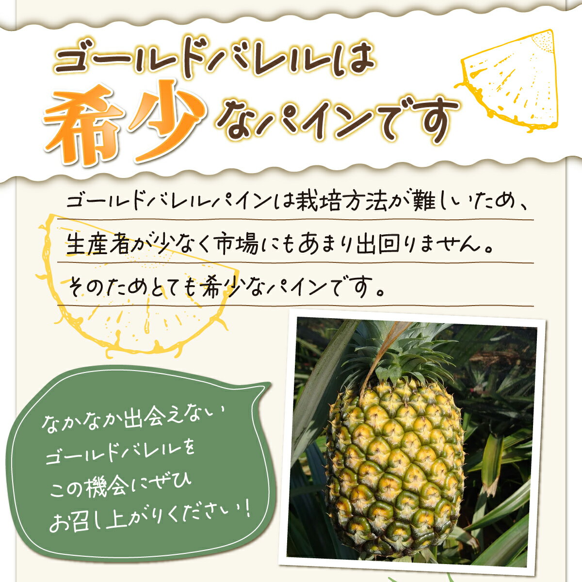 【ふるさと納税】2026年 先行予約 パイン ゴールドバレル 約3kg 2～4玉 ますみ農園 甘み たっぷり パイナップル 果物 フルーツ【果物詰合せ・フルーツ・ゴールドバレル】　お届け：2026年5月下旬～7月中旬
