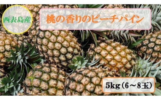 【ふるさと納税】2024年 先行予約 ピーチパイン 約5kg 6～8玉 桃の香り ますみ農園 パイン 果物 フルーツ　【果物詰合せ・フルーツ・ピーチパイン】　お届け：2024年5月下旬～7月中旬