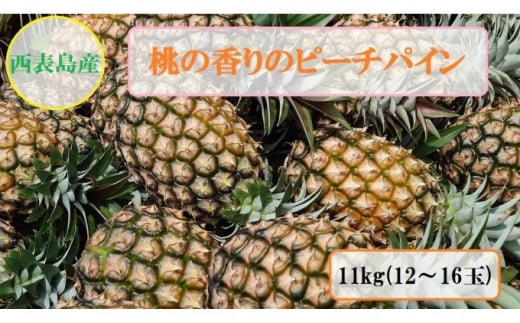 2024年 先行予約 ピーチパイン 約11kg 12～16玉 桃の香り ますみ農園 パイン 果物 フルーツ　【果物詰合せ・フルーツ・ピーチパイン】　お届け：2024年5月下旬～7月中旬