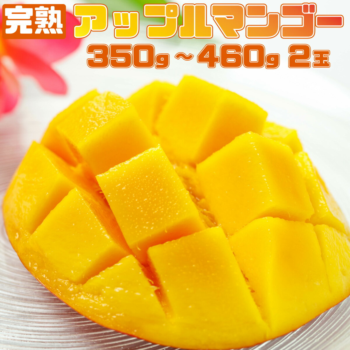 【ふるさと納税】完熟 アップルマンゴー 2L 350g〜460g 2玉 マンゴー 果物 デザート 品評会連続入賞 2025年 発送 ますみ農園 【 竹富町 】 お届け:2025年6月下旬〜7月下旬
